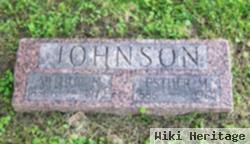 Arthur N Johnson