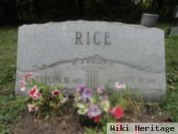 Roy W Rice