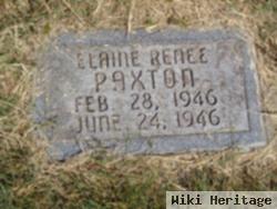 Elaine Renee Paxton