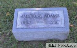 Ambrose Adams