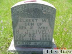 Elbert W Lively