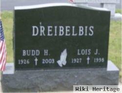 Lois J Dreibelbis