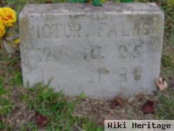 Victor Madison Falks