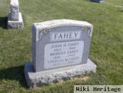 John H Fahey