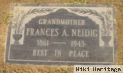 Frances Ann Broom Neidig