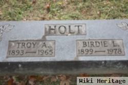 Troy A. Holt