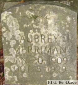 Aubrey Merriman