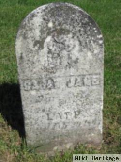 Sarah Jane Lapp