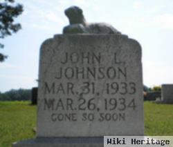 John Lee Johnson