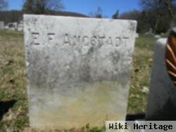 Emily F Angstadt