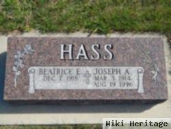 Joseph A Hass