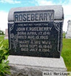 Mary Ann Hobbs Roseberry