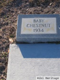 Baby Chestnut