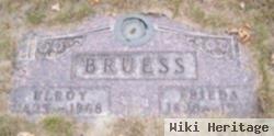 Elroy L Bruess, Sr