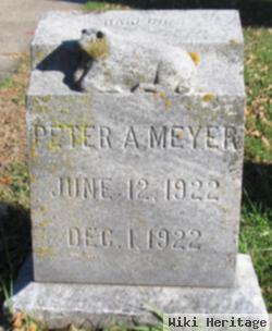 Peter A Meyer