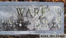 Charlotte A. Warf