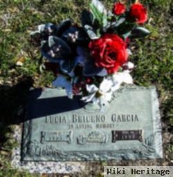 Lucia Briceno Garcia