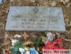 James Albert Herrick