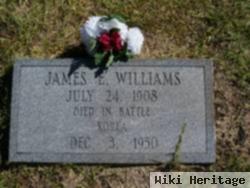 James E Williams