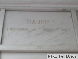 Herman John Raupp