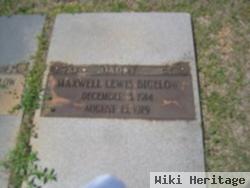 Maxwell Lewis Bigelow