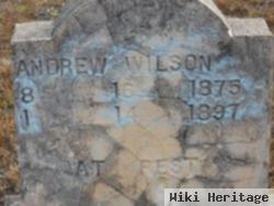 Andrew Wilson