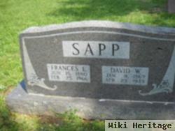 David W Sapp