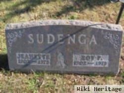 Roy Sudenga, Sr