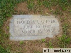 David A Lauffer