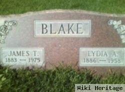 Lydia Ann Blake