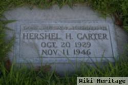 Hershel H Carter