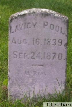 Lavicy Louisa Lomax Pool