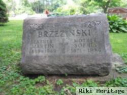 Martin Brzezinski