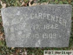 Lewis Carpenter