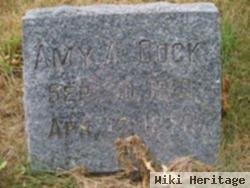 Amy A. Cock