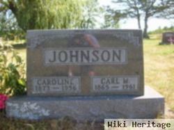 Caroline L. Running Johnson