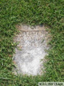 Edgar S. Lester, Jr