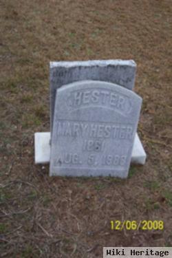 Mary Hester