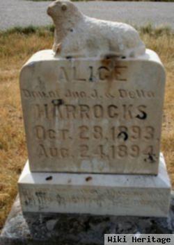 Alice Horrocks