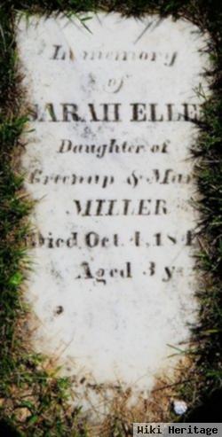 Sarah Ellen Miller