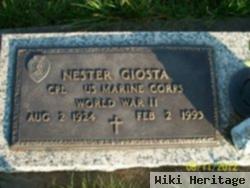 Nester Giosta