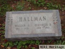 William H Hallman