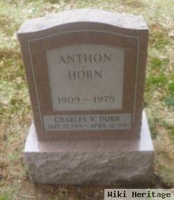 Anthon Horn