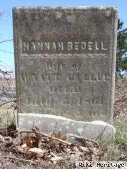 Hannah Bedell Gallup