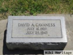 David A. Cavaness