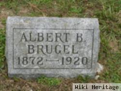 Albert B Brugel