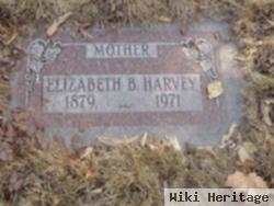 Elizabeth Ann Bartz Harvey