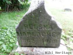 Helena A Steiner Harlacher