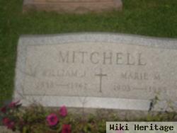 William J Mitchell