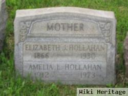 Amelia L Hollahan